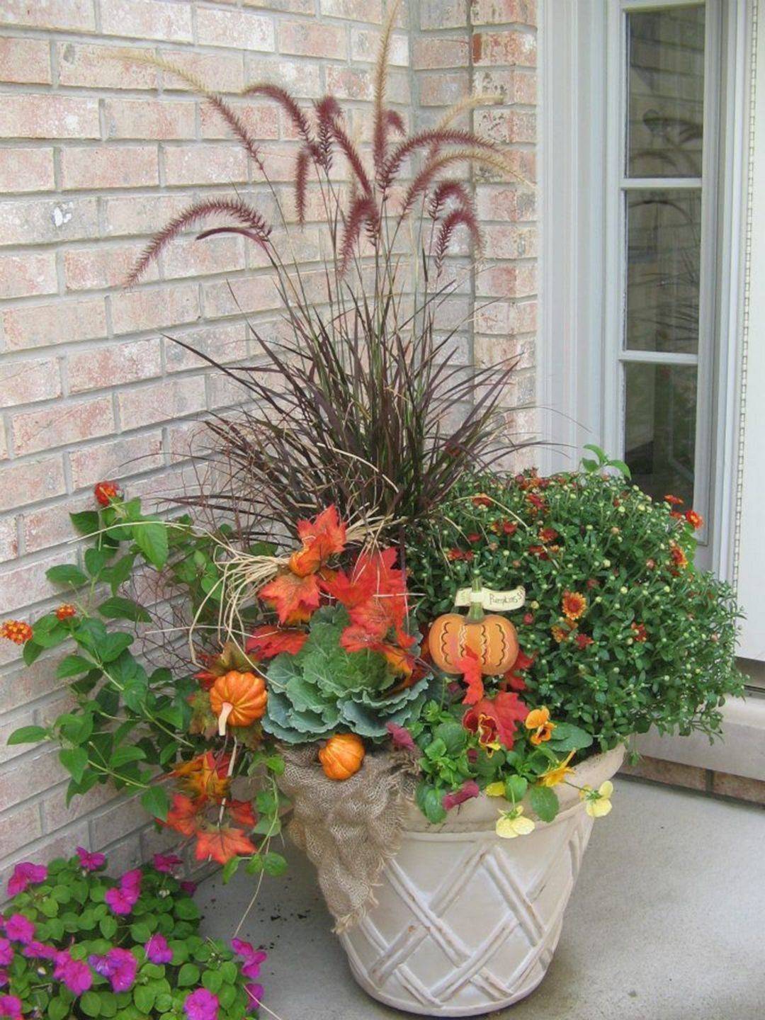 Fall Container Flower Ideas