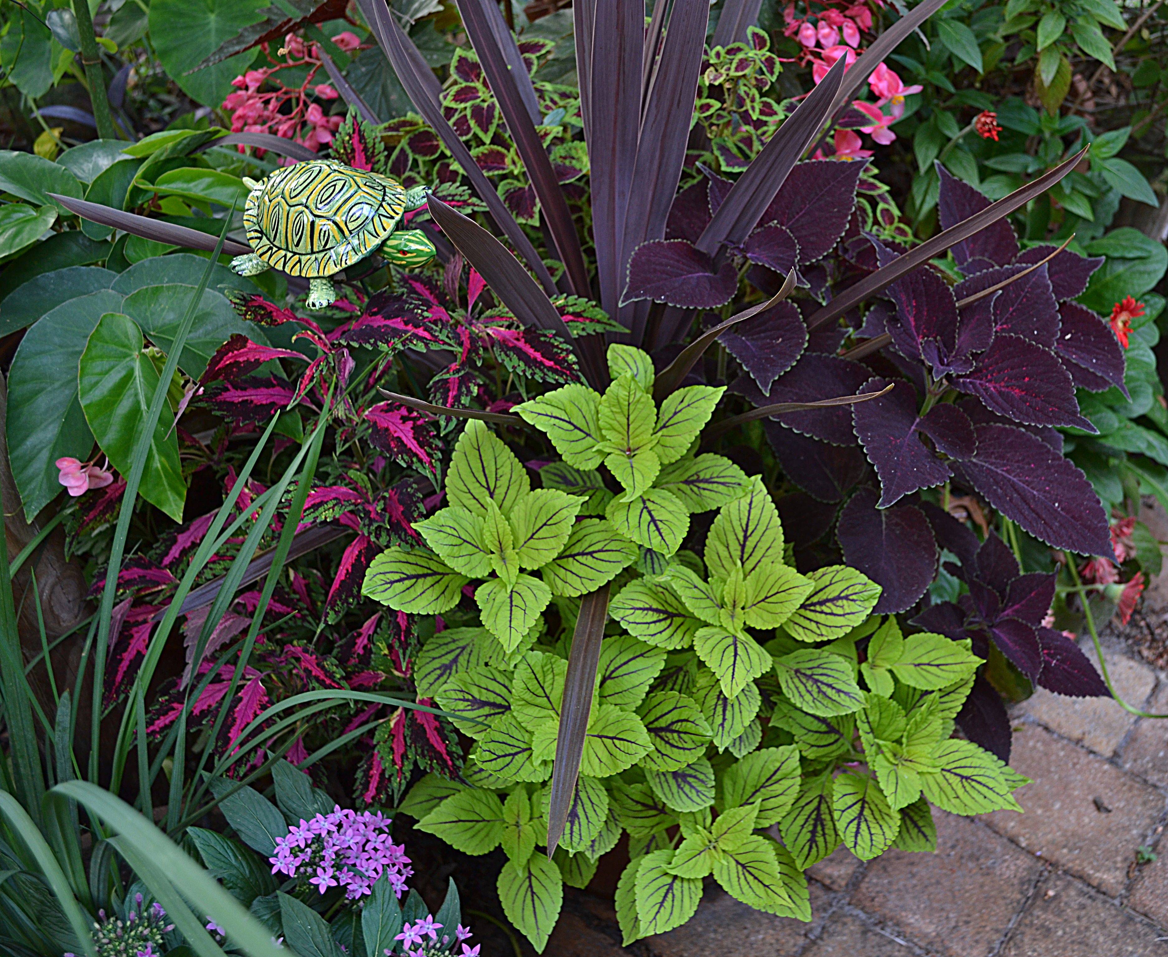 Any Pot Fall Container Gardens