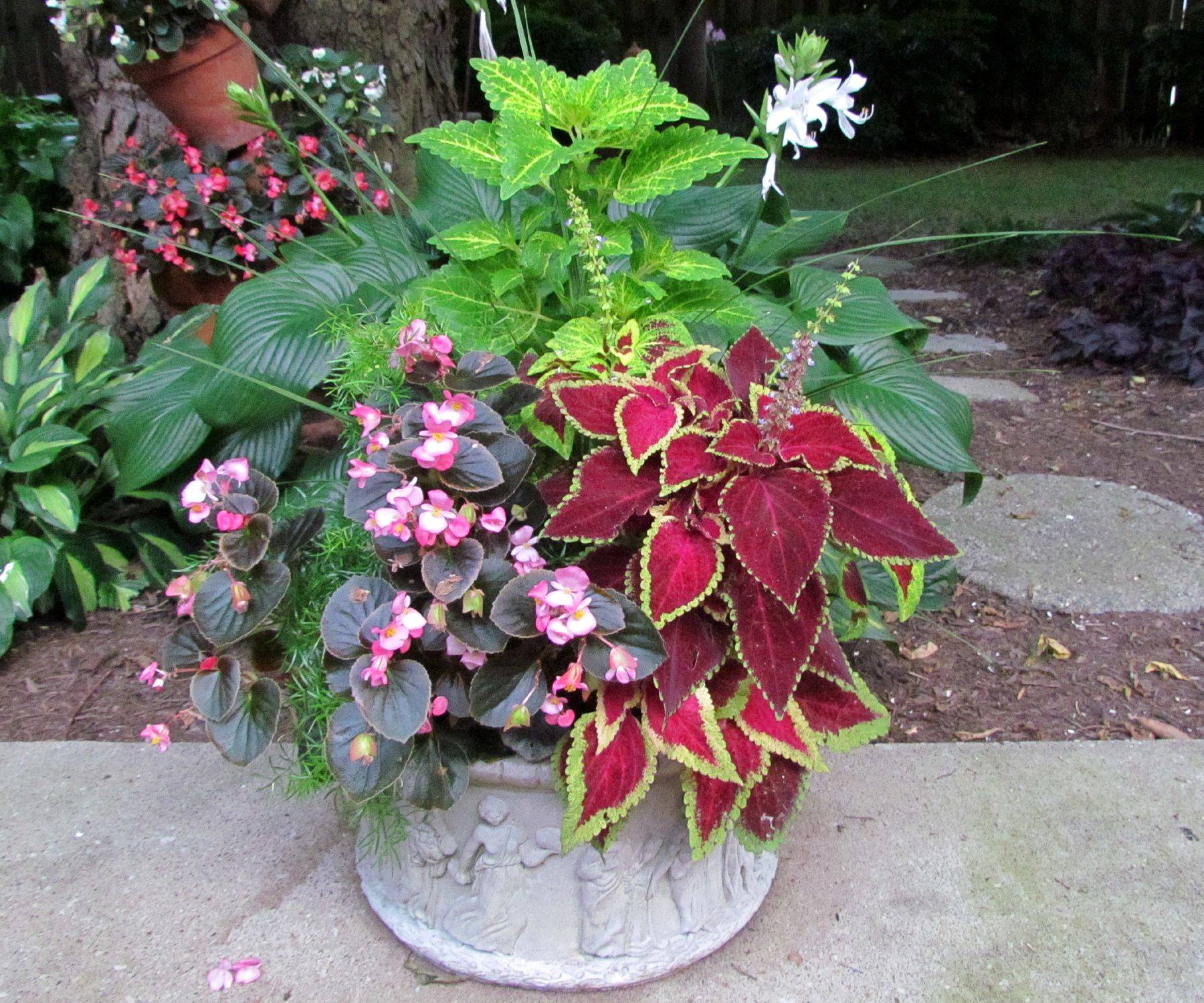 Impatiens Fall Container Gardens