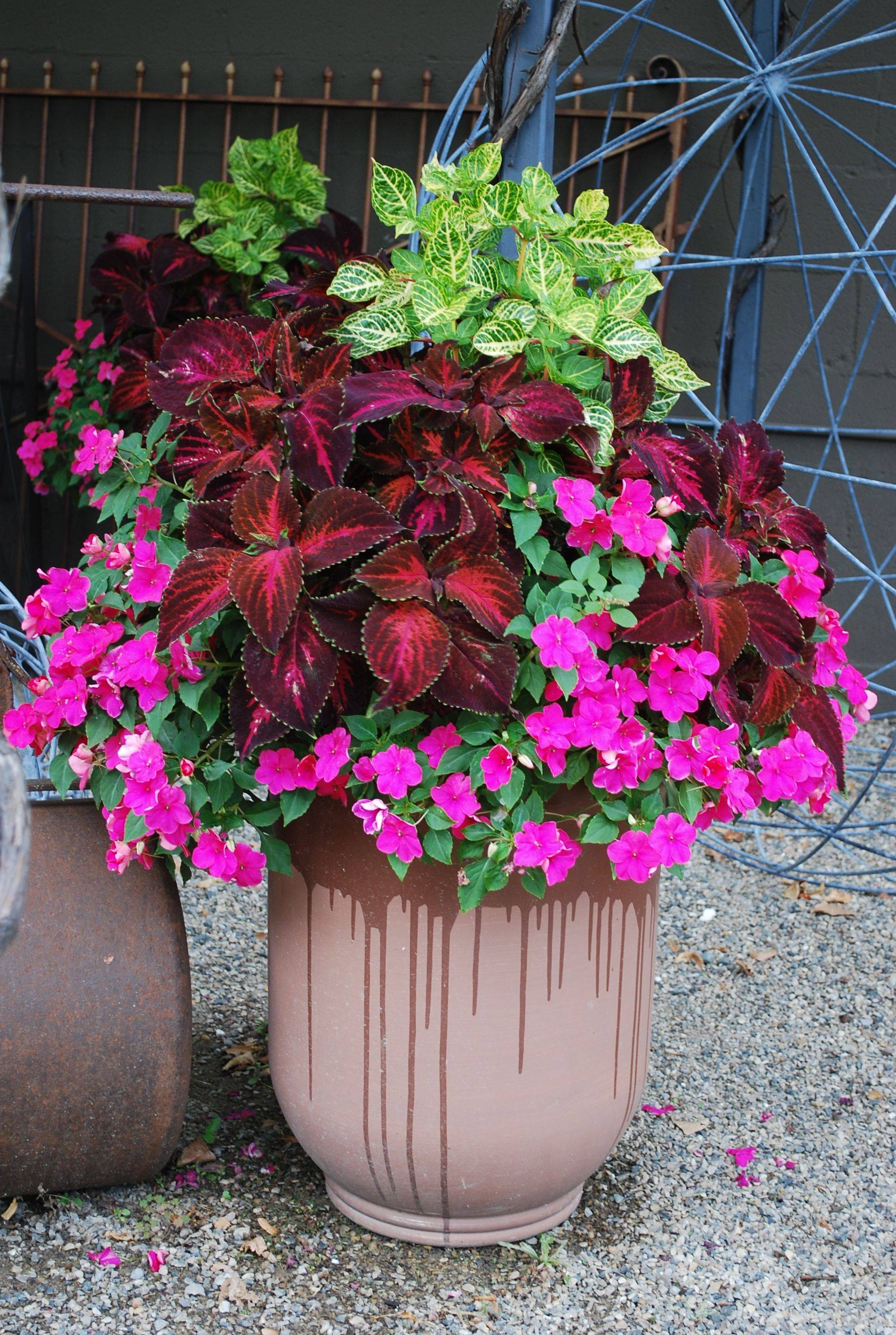 Container Gardening