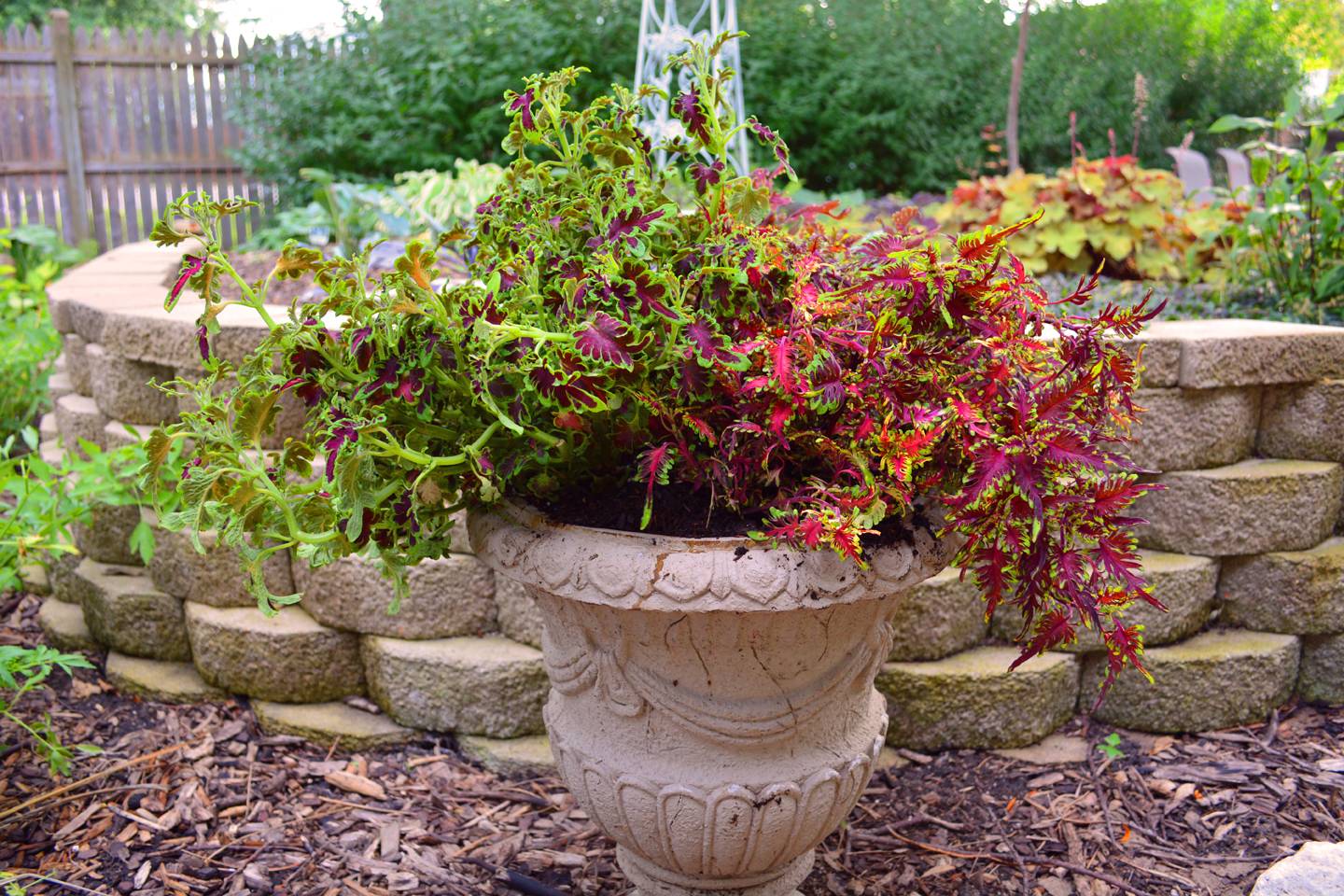 Container Gardens