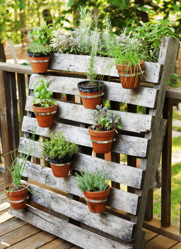 Winter Container Garden Ideas