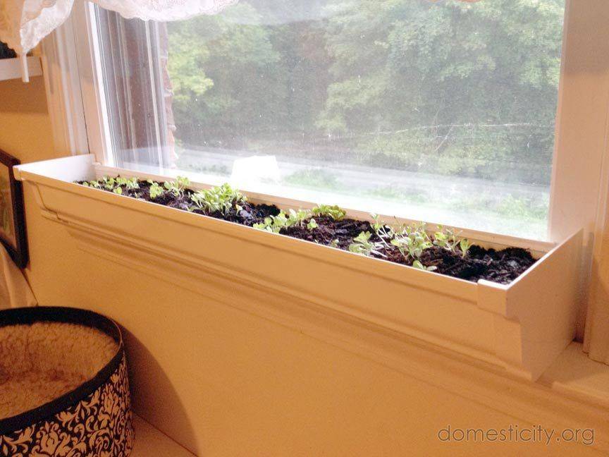 Practical Indoor Window Shelf Ideas
