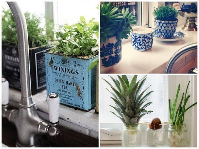 Beautiful Indoor Windowsill Flower Garden Ideas