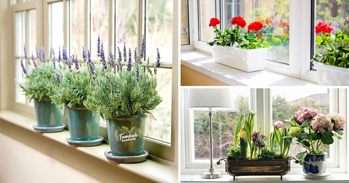 Google Search Windowsill Garden