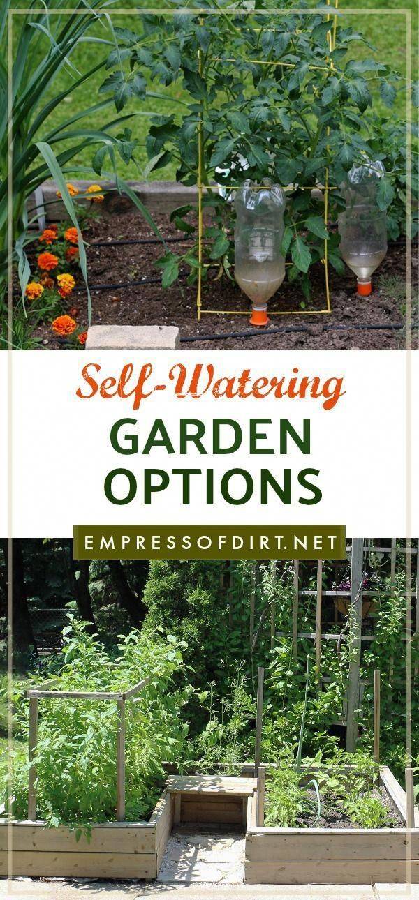 Diy Indoor Water Garden Container Ideas