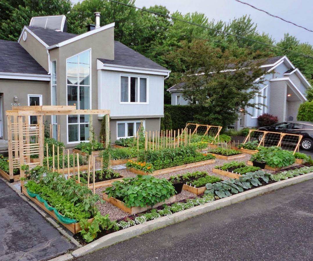 Small Space Self Watering Vegetable Garden Ideas