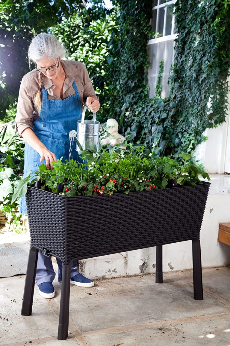 Your Vegetable Garden