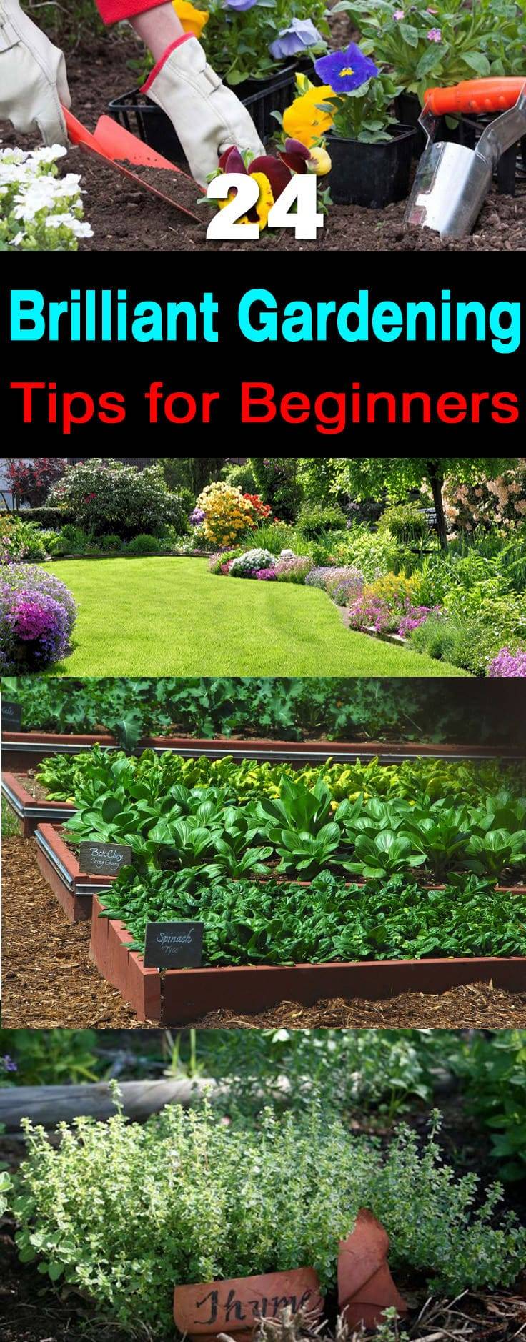 Beginner Gardening Tools