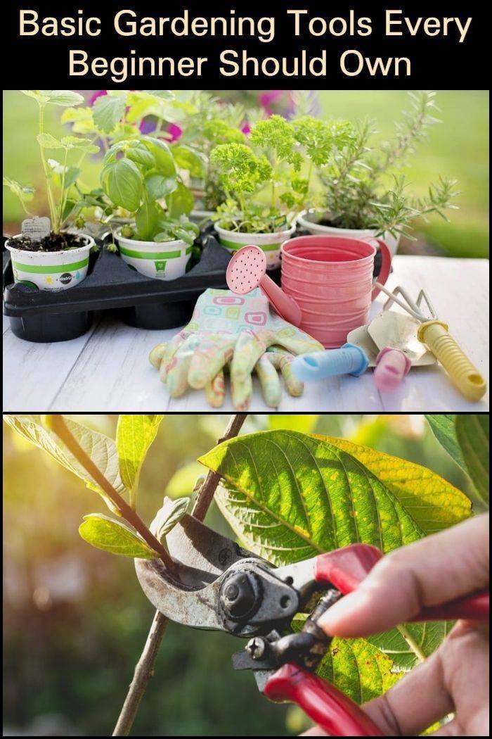 Simple Hydroponic Garden Ideas