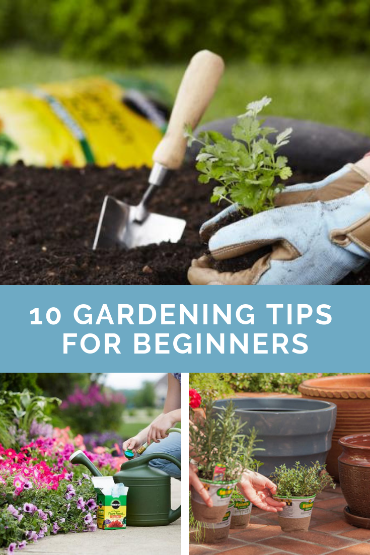 Small Easy Garden Ideas Hawk Haven