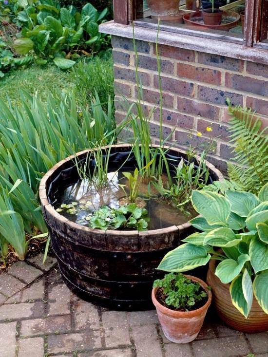 Peaceful Diy Container Water Garden Ideas