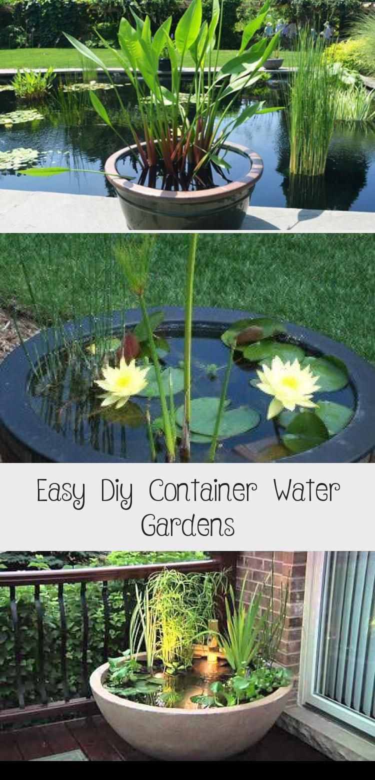 12 DIY Container Water Garden Ideas To Try This Year SharonSable