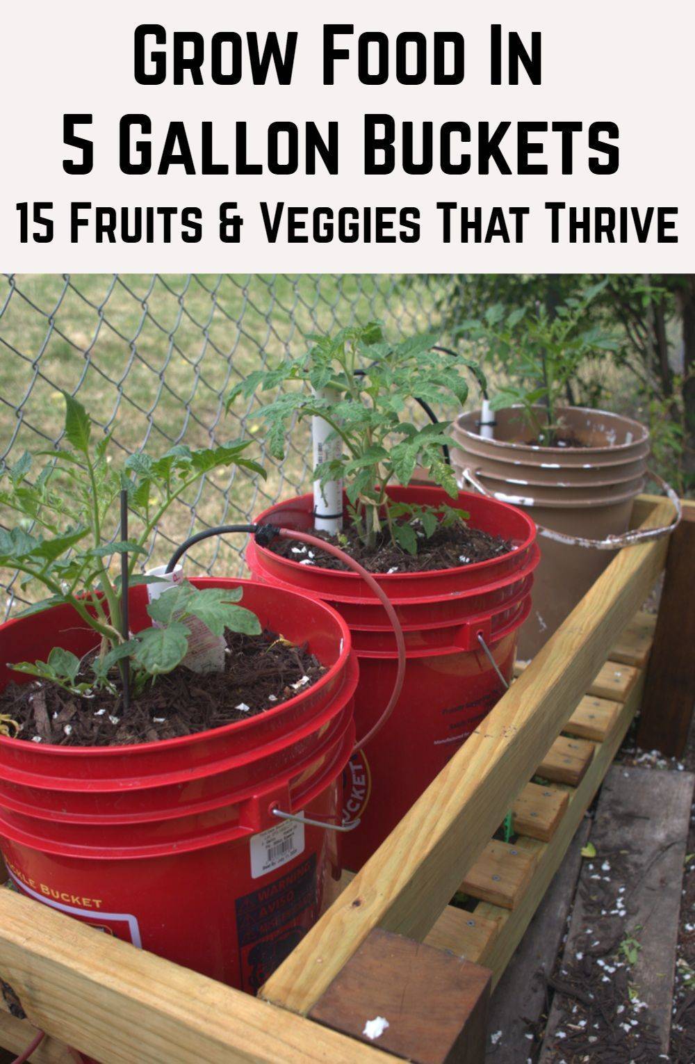 24 5 Gallon Bucket Container Gardening Ideas You Should Check SharonSable