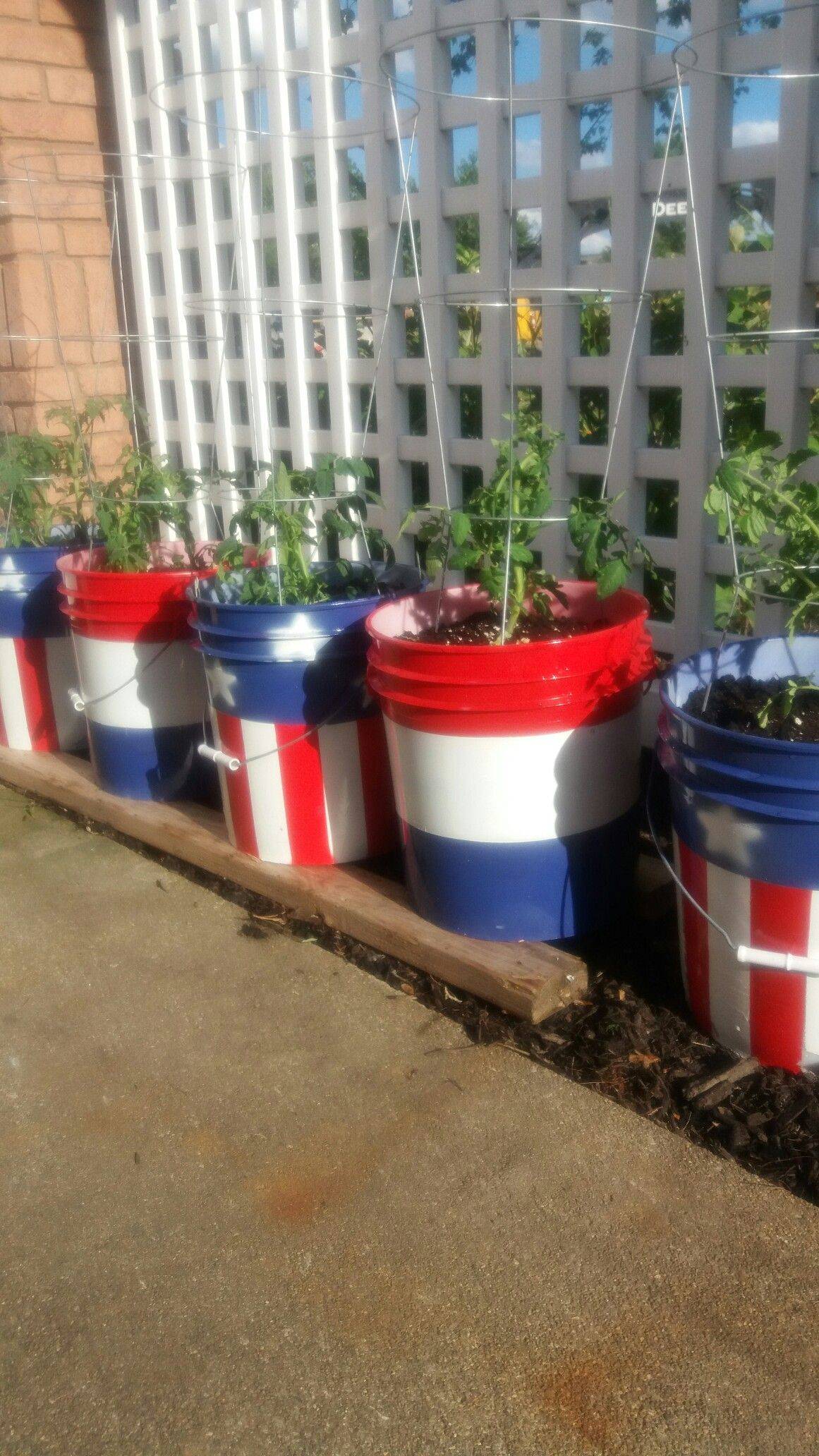 Cute Garden Ideas