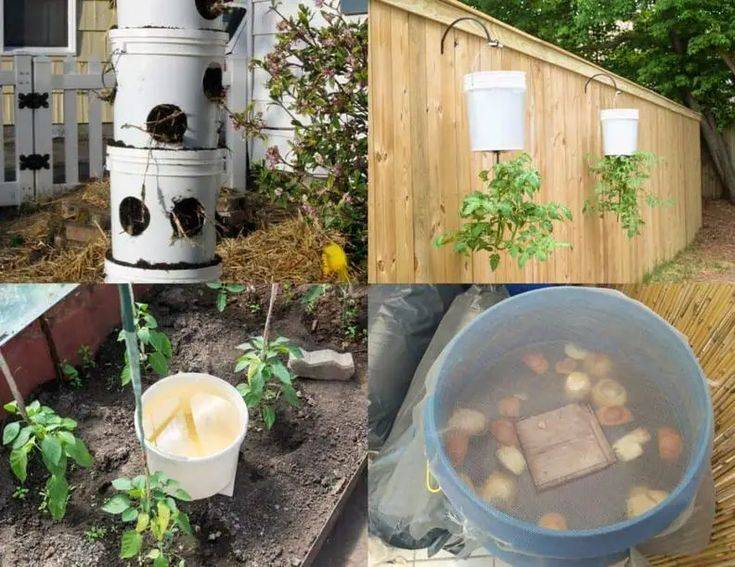 Best Gallon Bucket Ideas Images