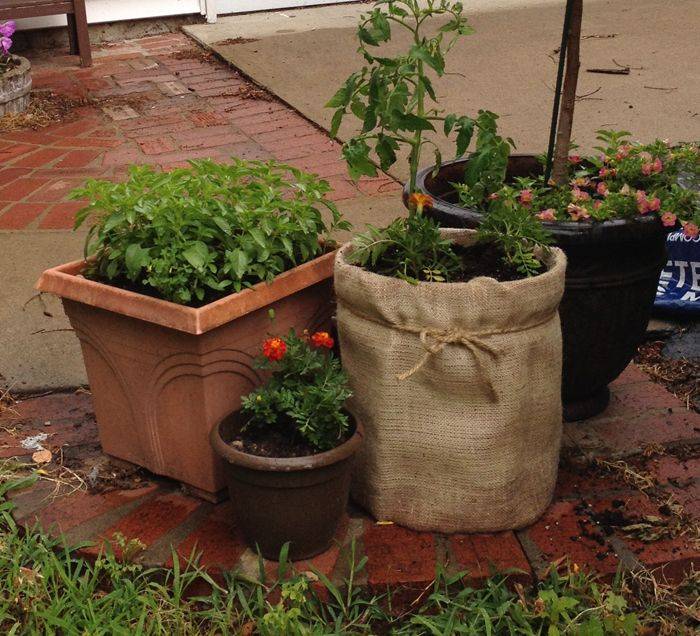 Diy Gallon Bucket Strawberry Tower Container Gardening