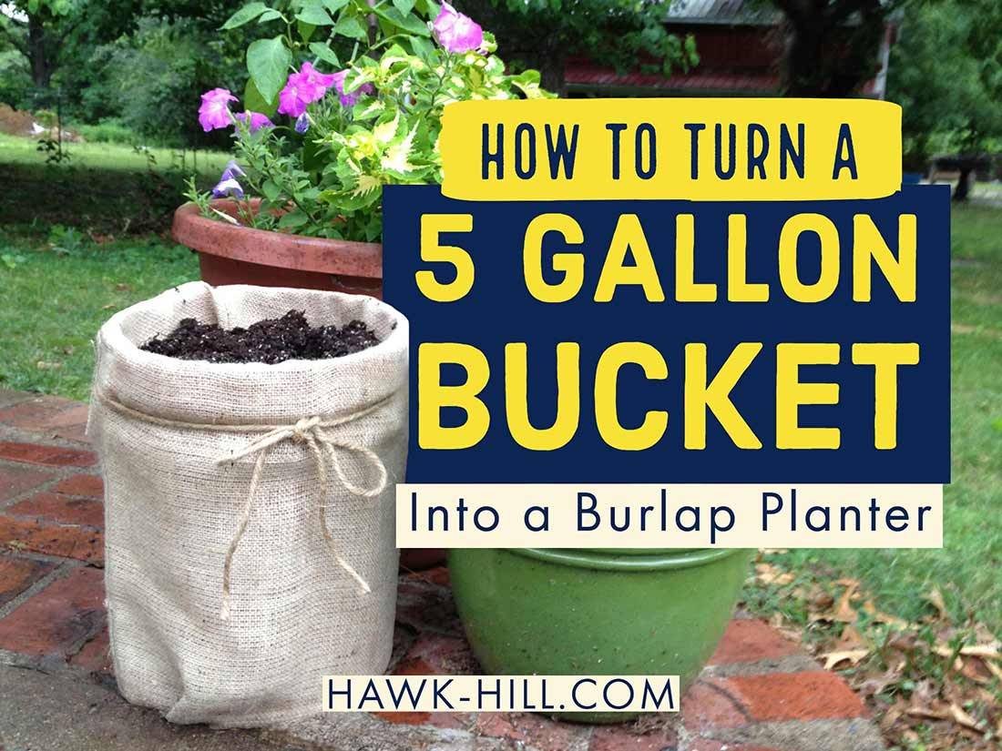 Gallon Buckets Fruits