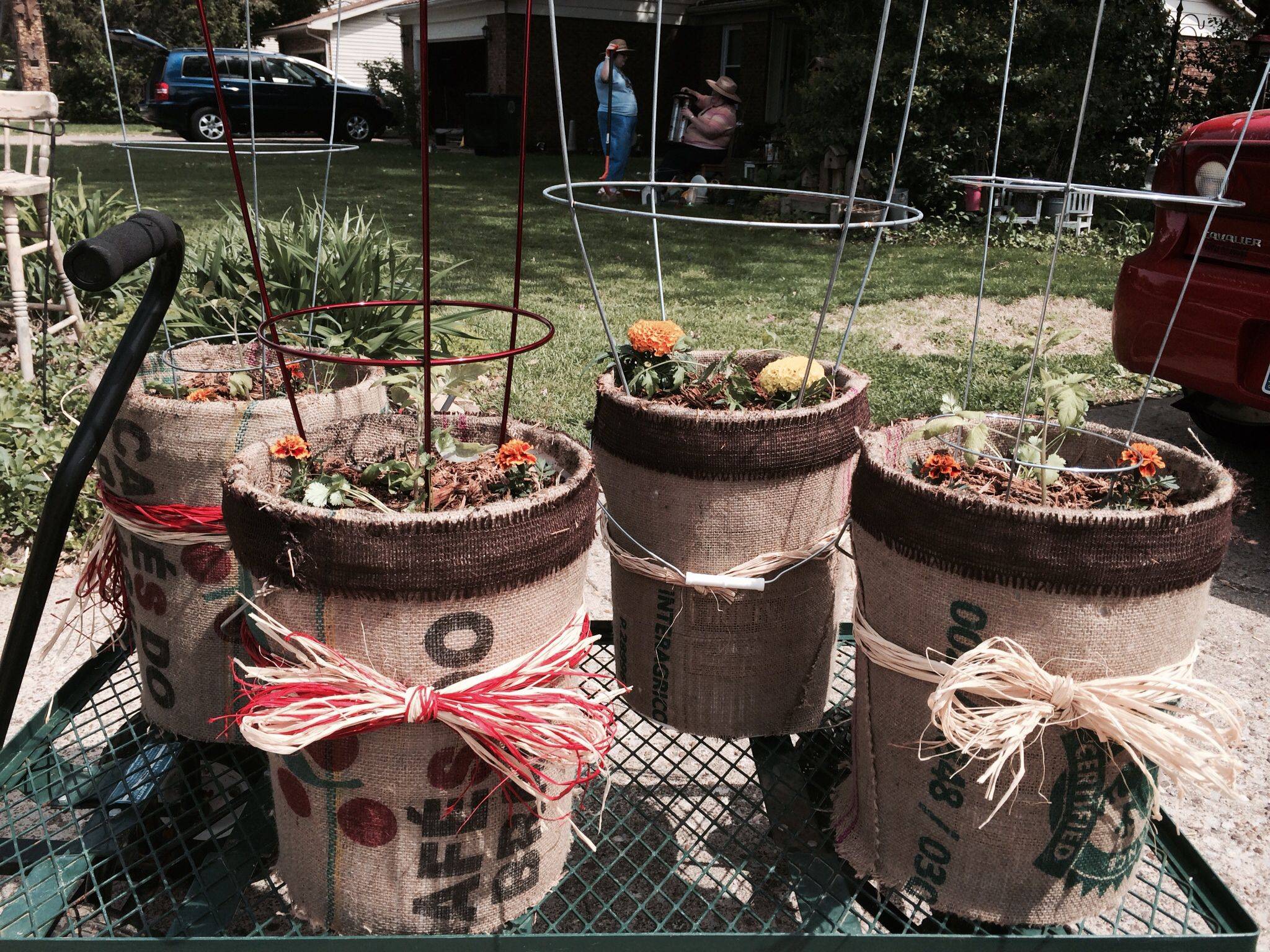 Gallon Buckets Best Images