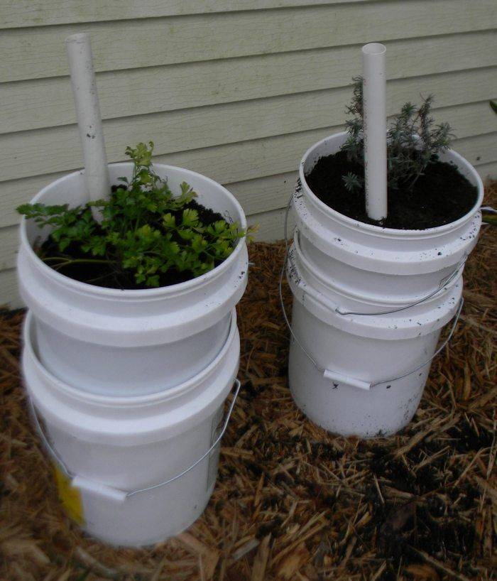 Americana Gallon Bucket Planters