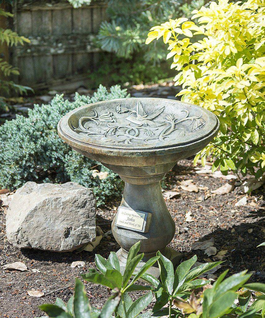 Your Backyard Inspiration