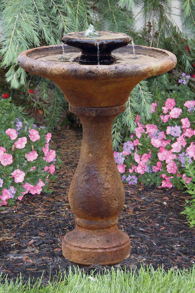 Your Backyard Inspiration Napiernews