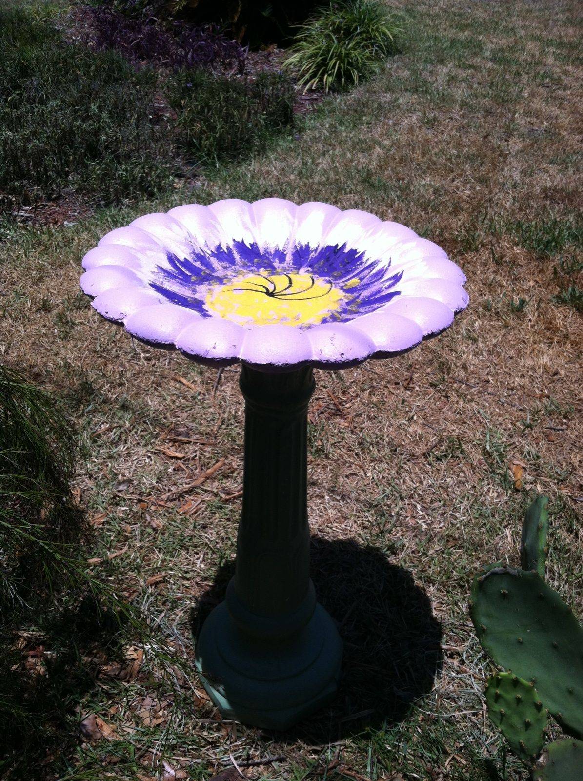 Bird Bath