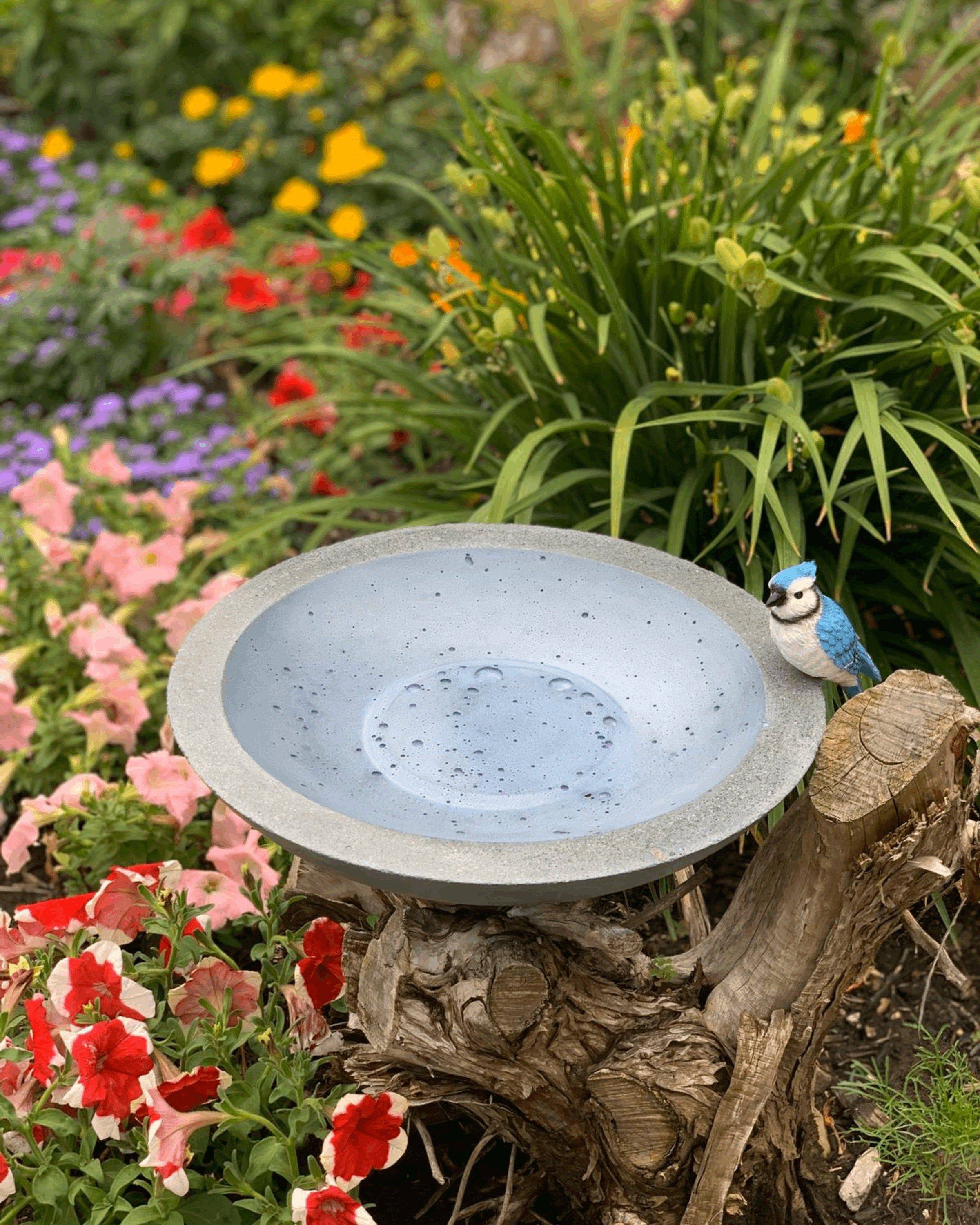 21 Concrete Bird Bath Garden Ideas You Must Look SharonSable