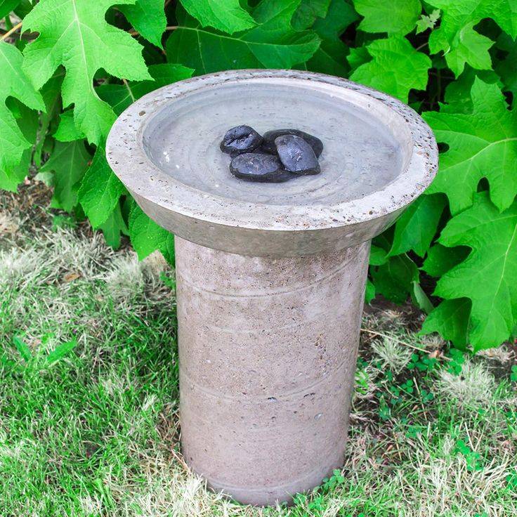 A Pansy Concrete Bird Bath