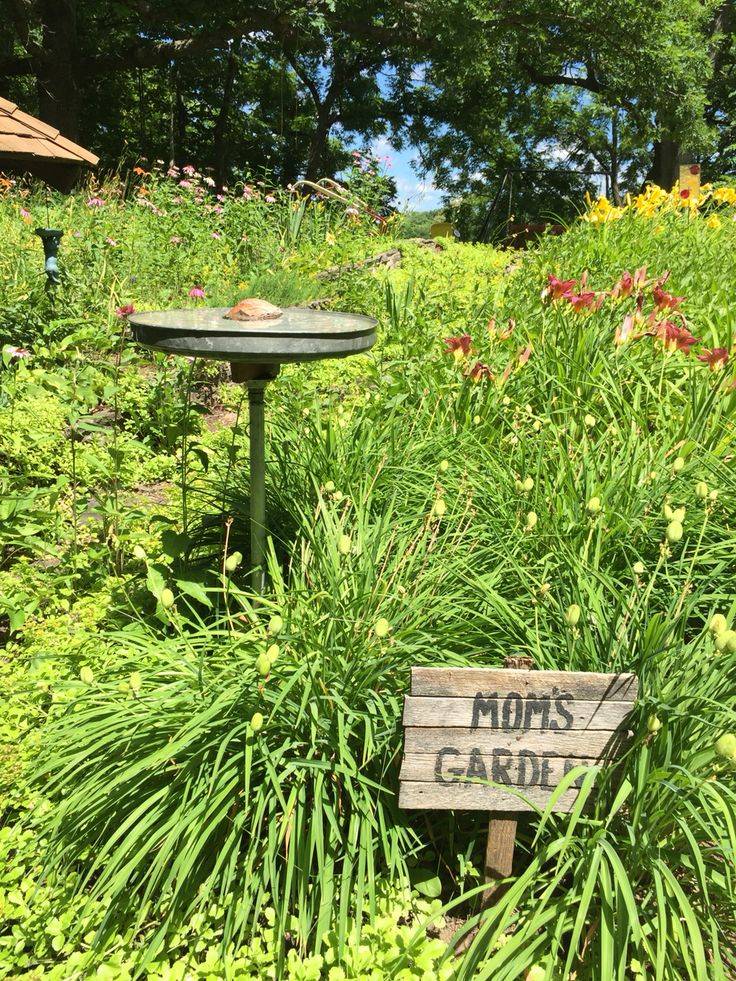 20 Rock Garden with Bird Bath Ideas You Cannot Miss SharonSable