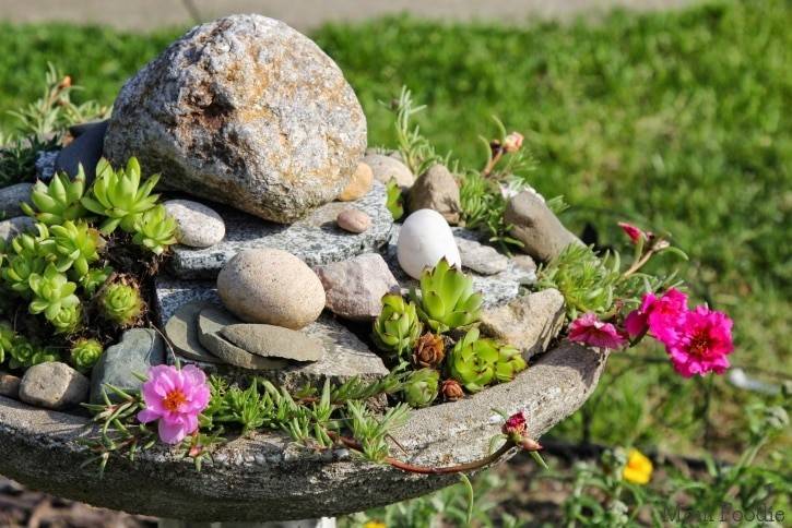 Our New Bird Bath Bird Bath