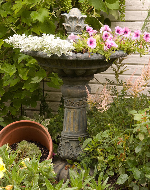 My Bird Bath