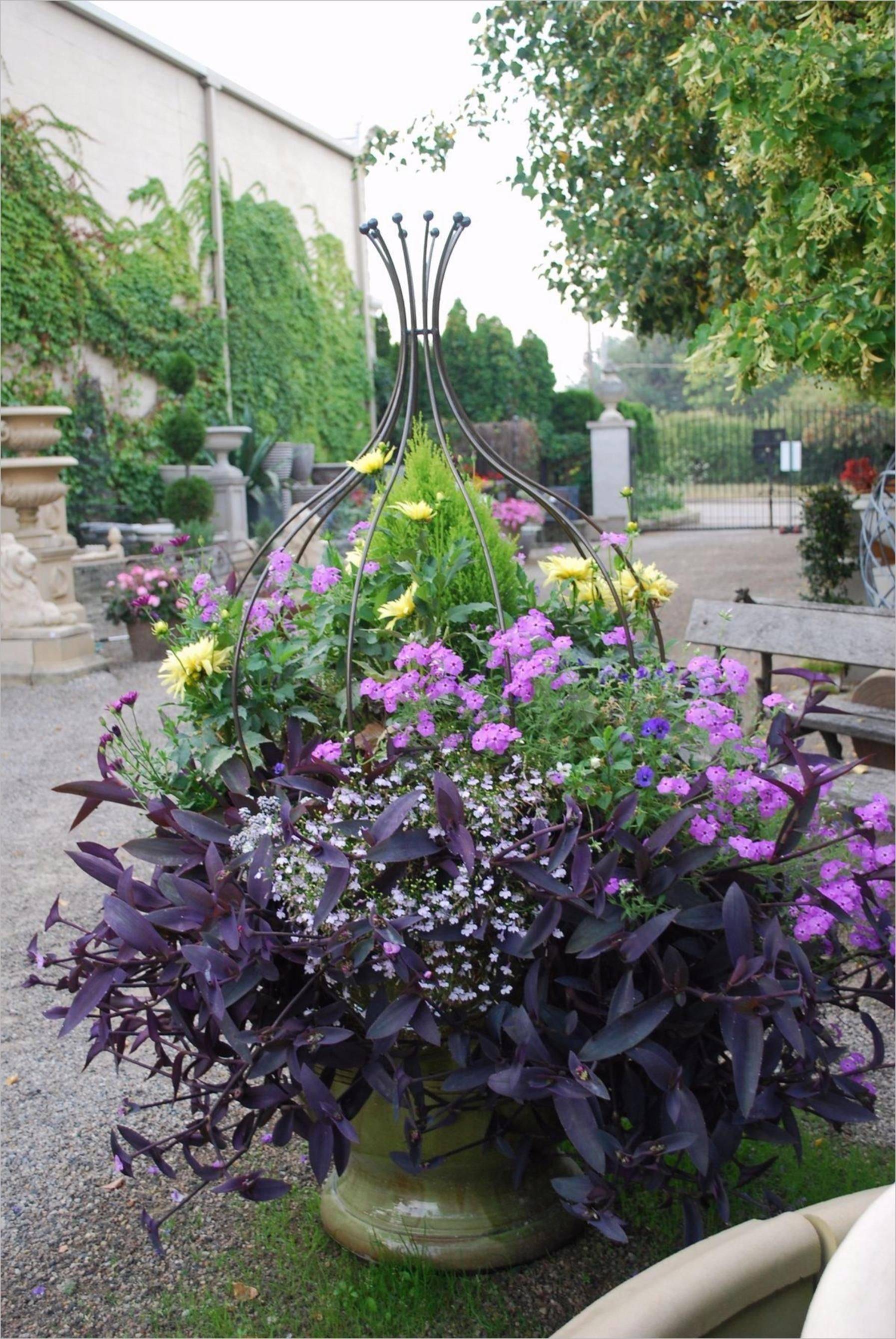 Stunning And Beautiful Flowers