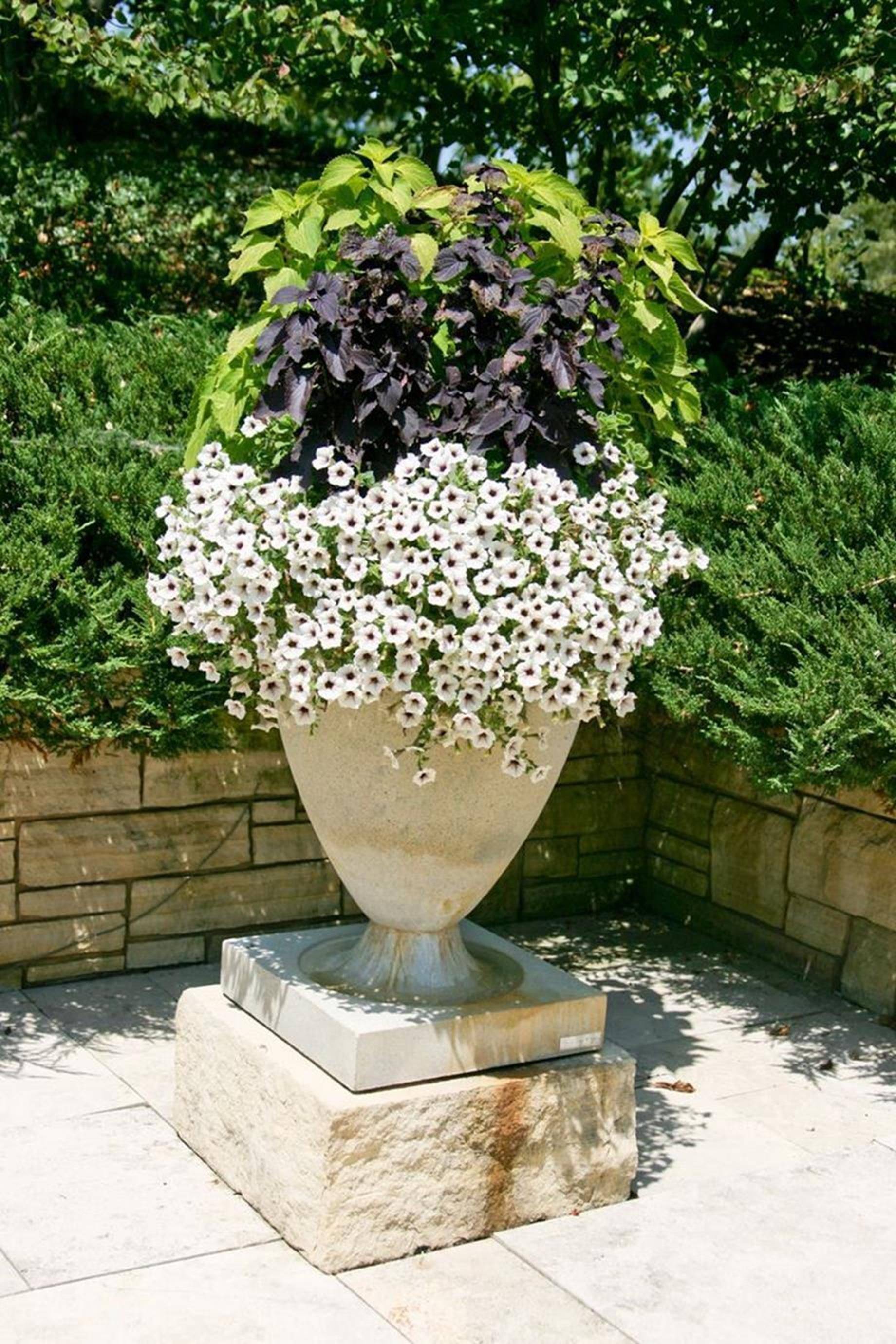 Wonderful Summer Container Garden Flower Ideas Page