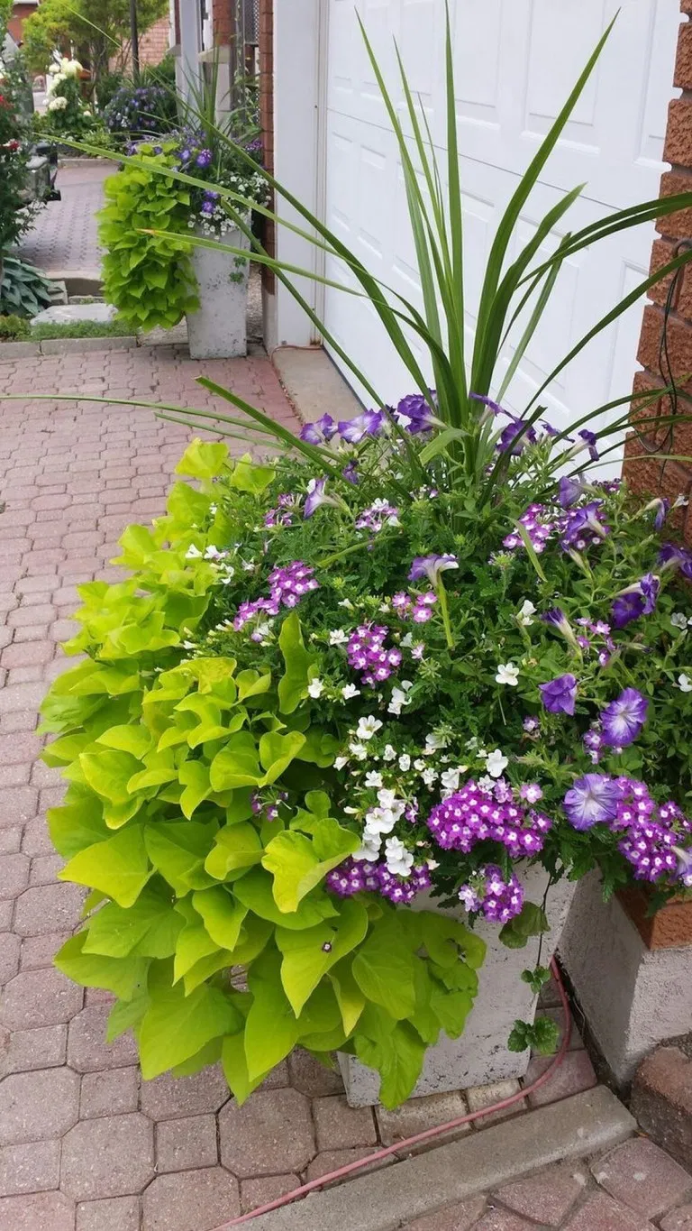 Unique And Beautiful Container Garden Ideas