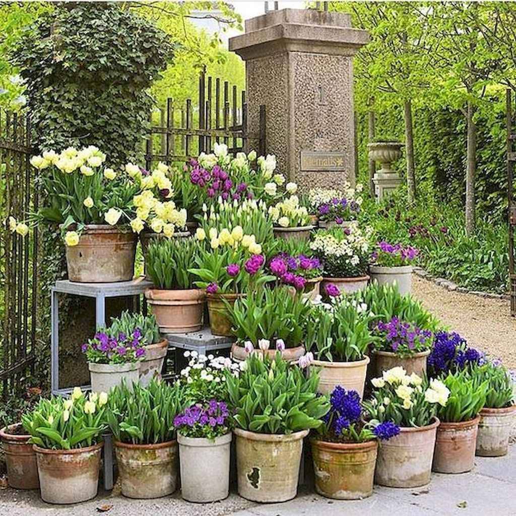 Beautiful Front Yard Container Garden Ideas
