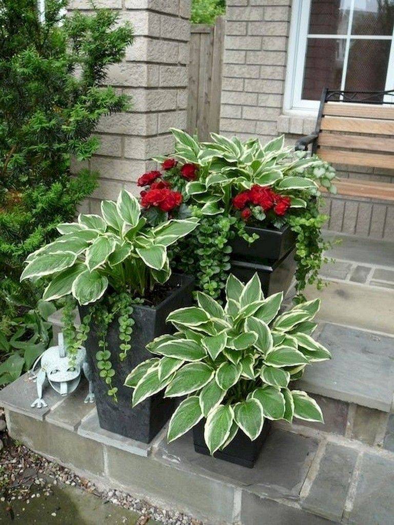 Beautiful Front Yard Container Garden Ideas