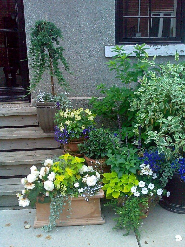 Beautiful Container Gardening Ideas
