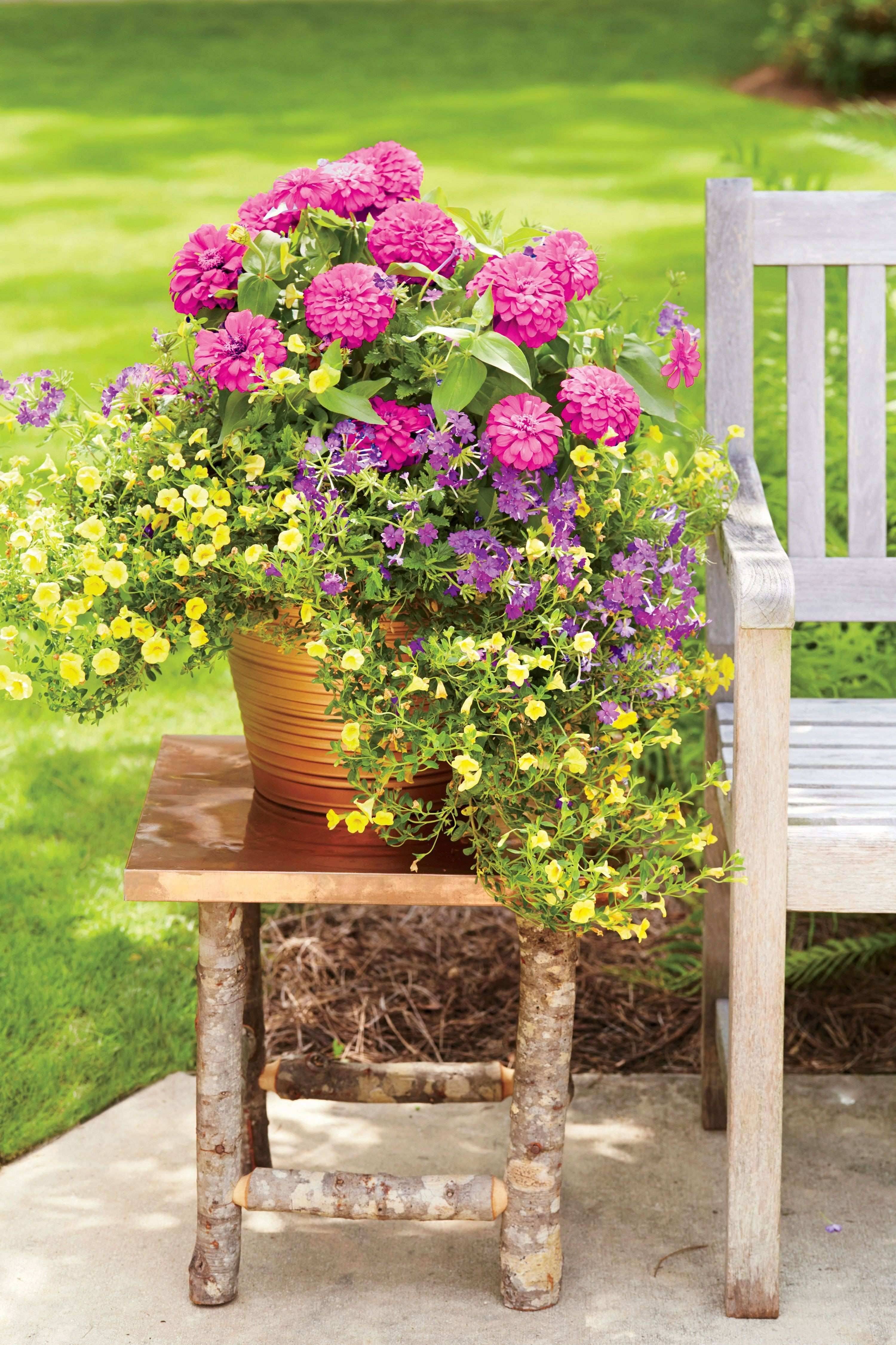 Fresh Spring Garden Ideas