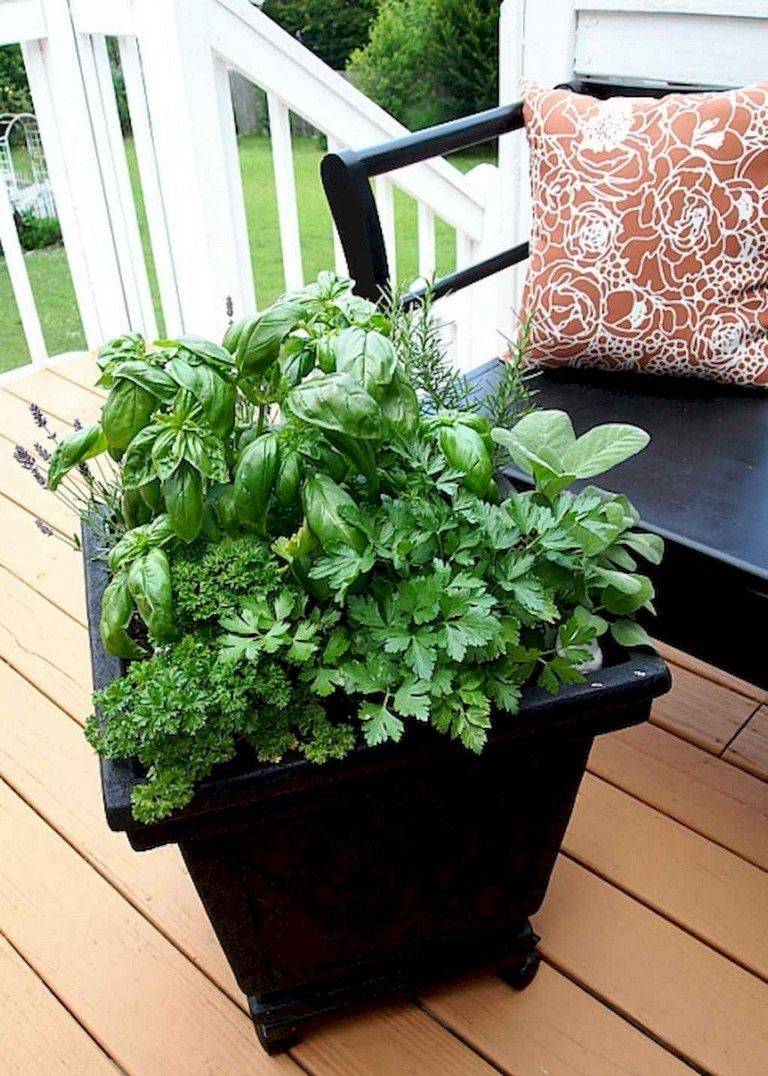 Cheap Diy Indoor Herb Containers