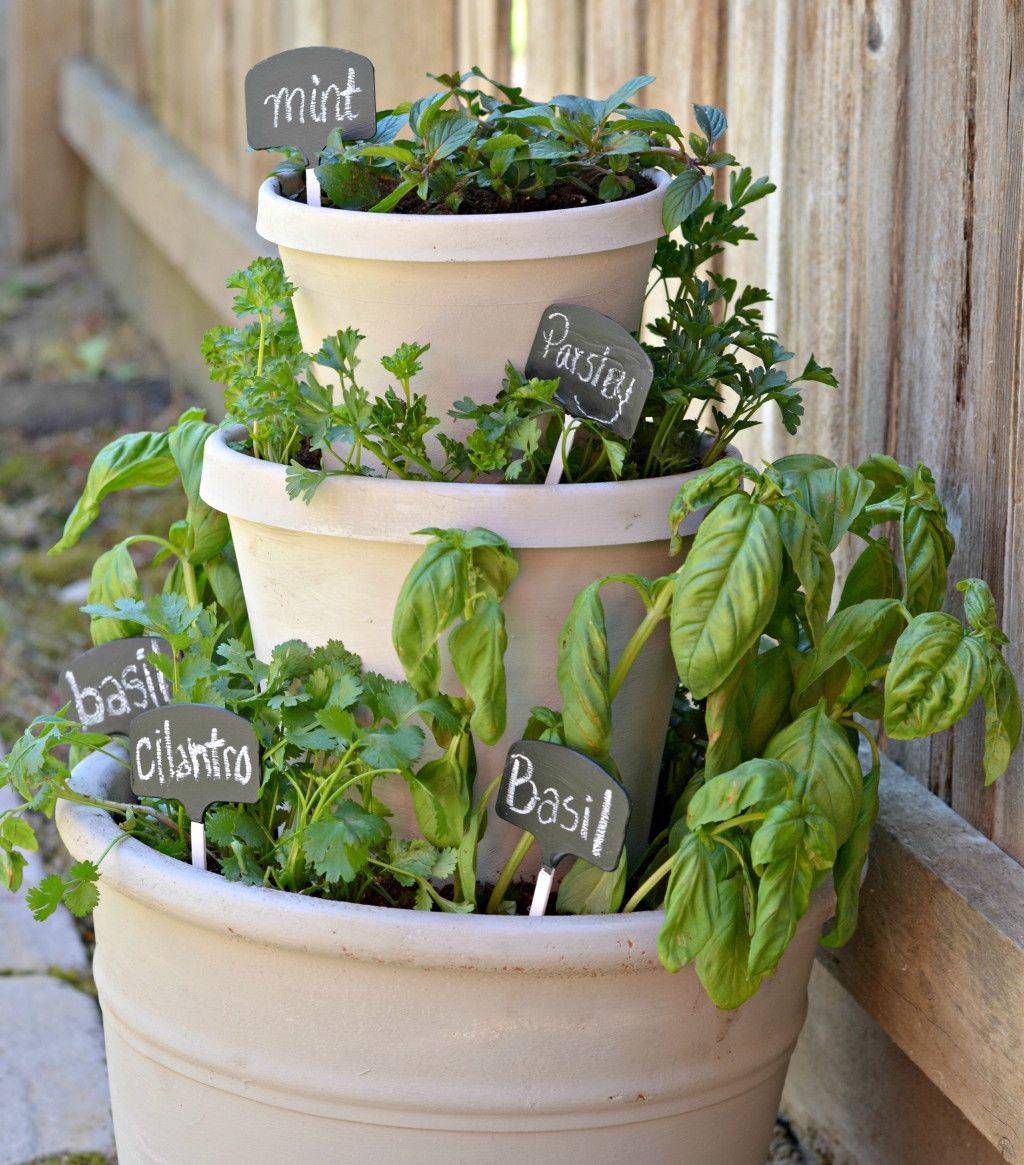 Interesting Diy Container Herb Garden Design Ideas