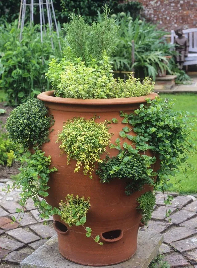 Pretty Container Herb Garden Diy Stonegable Container Herb Garden