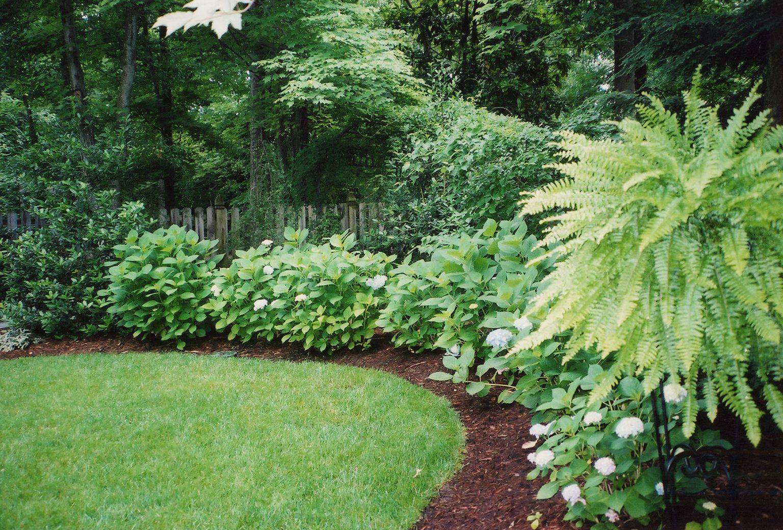 Supreme Garden Design Zone Ideas