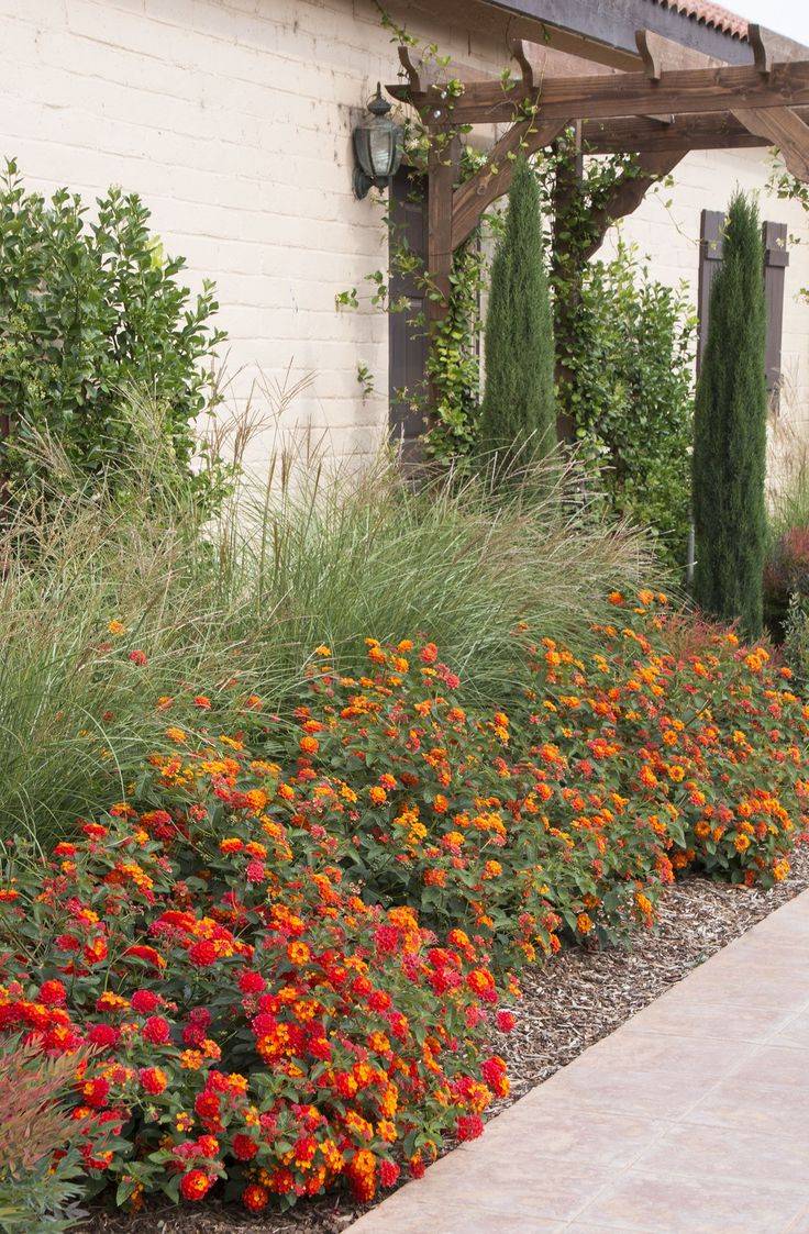 Pro Landscape Home
