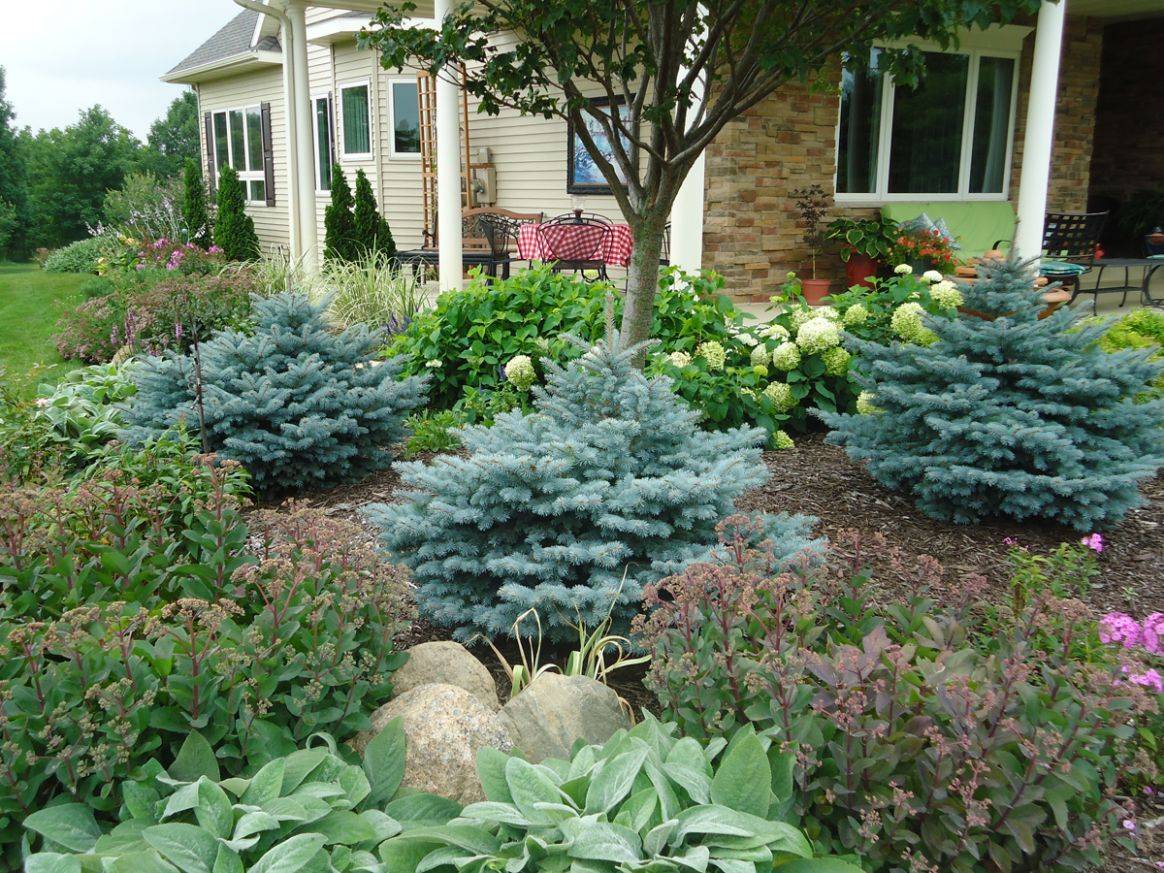 Best Perennial Garden Designs Perennial Garden Design Zone