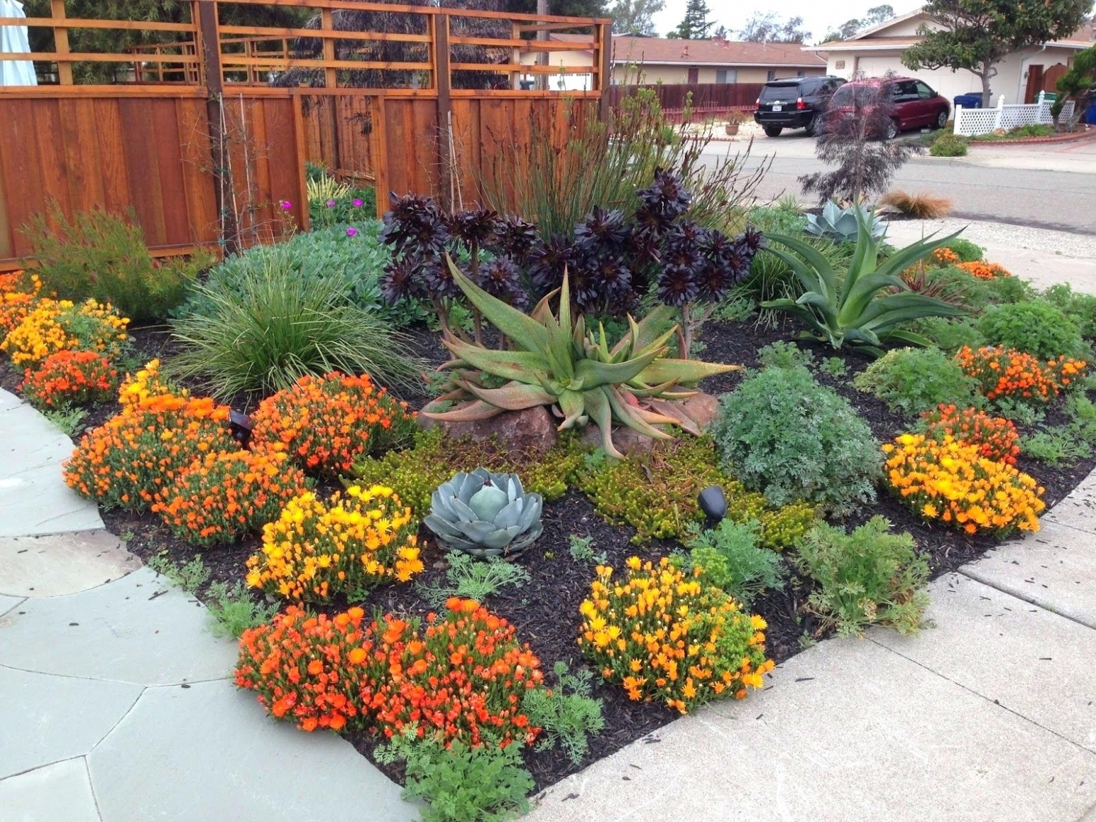 Garden Inspirations Texas Photograph