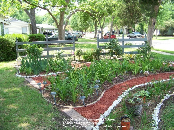Zone Gardening Tips