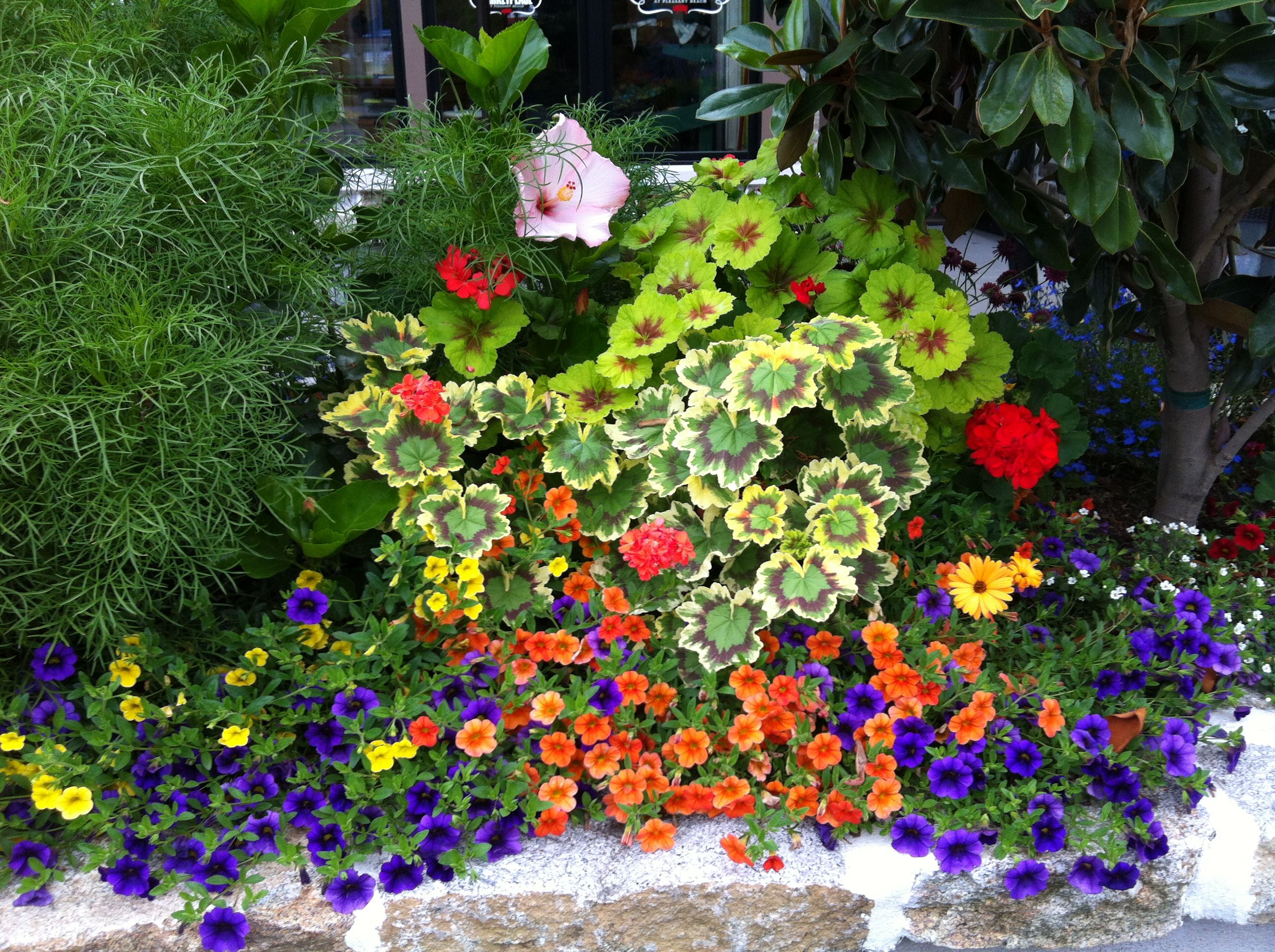Google Search Patio Landscaping