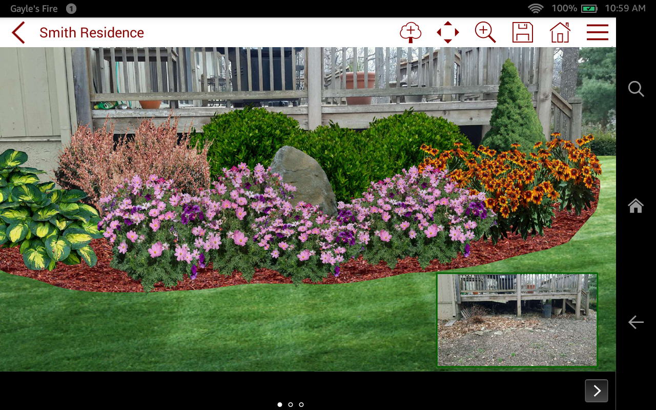 Low Maintenance Garden Backyard Ayout