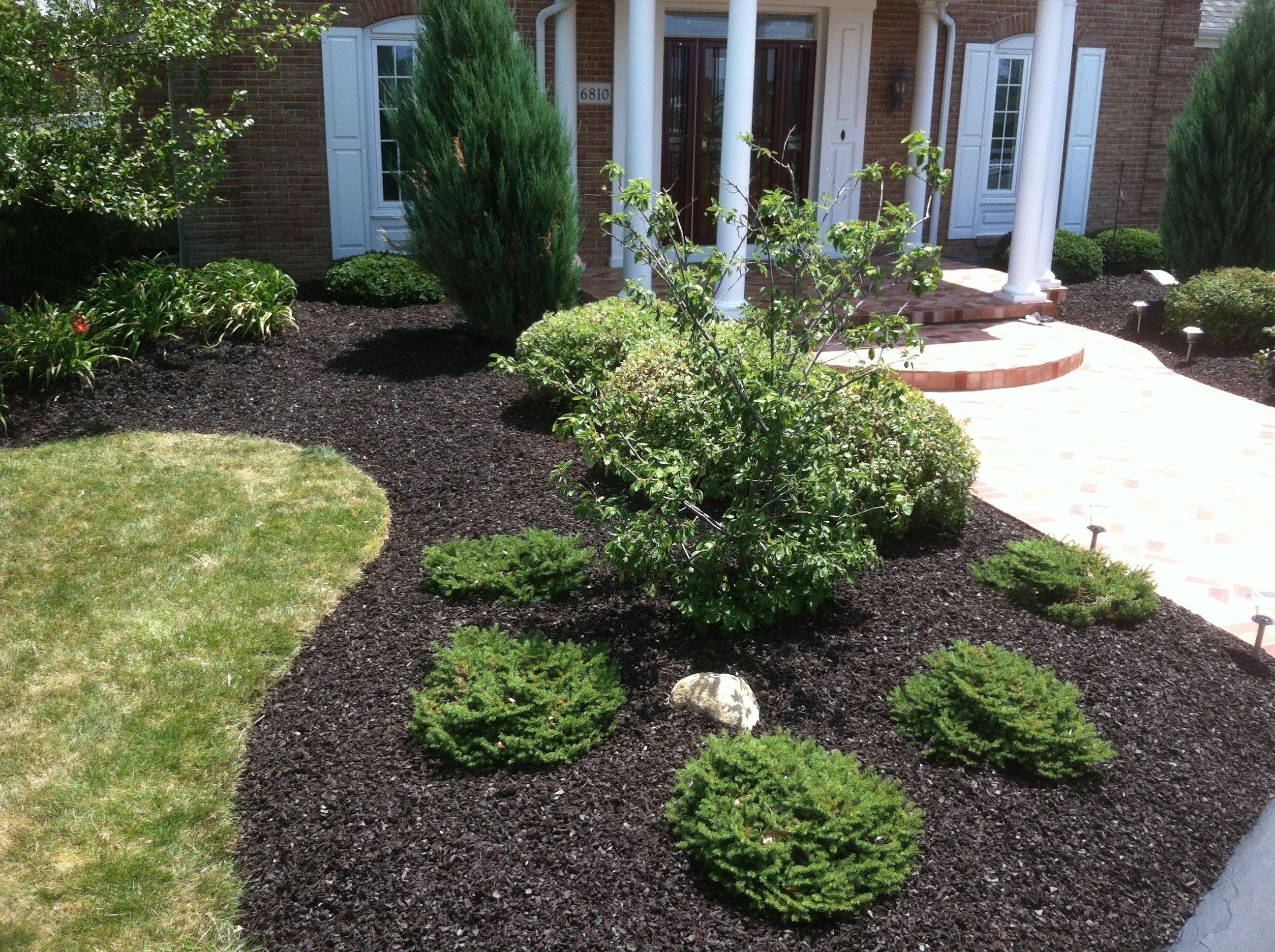 Black Mulch Landscaping Front Garden Landscape